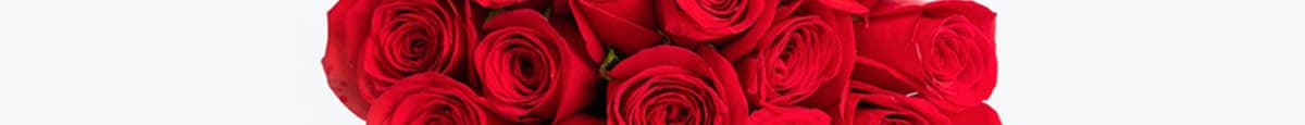 Splendid Red Roses