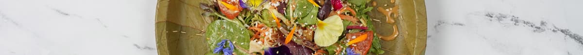 Salade à l'asiatique / Asian Salad