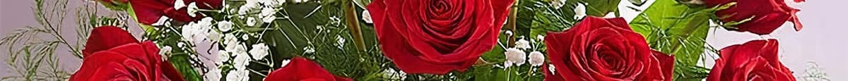 Premium 24 Long stem red roses