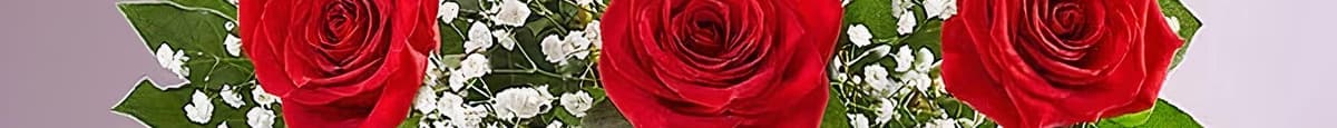 Premium 12 Long Stem  Red Roses Vase