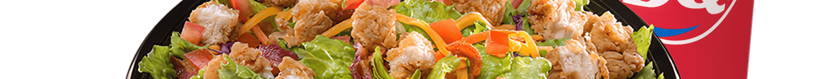 Crispy Chicken Salad Combo
