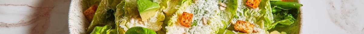 Baby Gem Caesar Salad