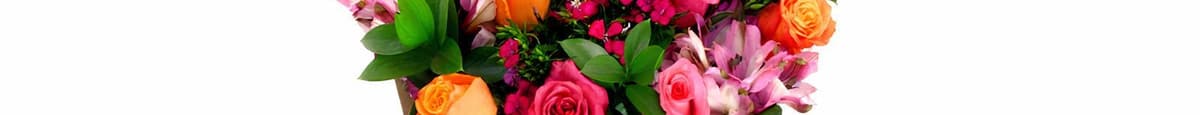 Premium Dozen Rose Bouquet -  Rainbow + Dianthus