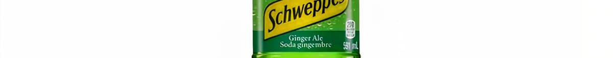 Ginger Ale - 591ml