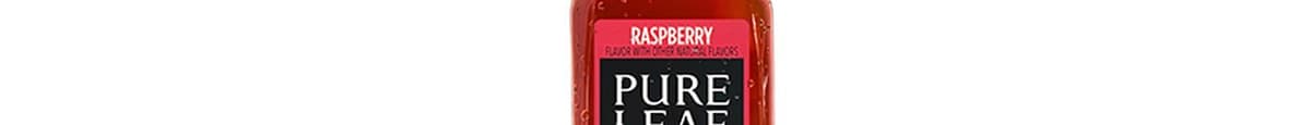 Pure Leaf Raspberry Iced Tea