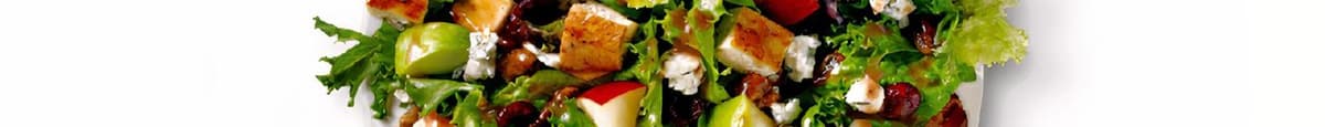 Salade De Poulet Aux Pommes Et Aux Pacanes / Apple Pecan Chicken Salad (Cals: 480)