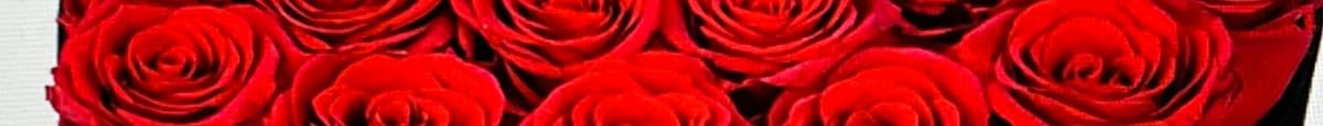 RED Forever Flowers LARGE 27 ROSES Heart Shape GIFT Box VALENTINES GIFT! 