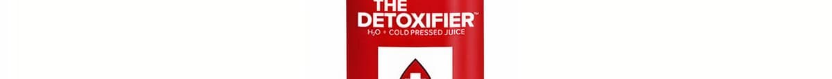 The Detoxifier™ H2O