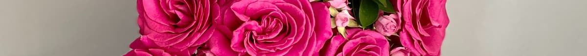 Hot Pink Dozen Roses 