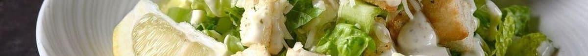 Caesar Salad (Regular)