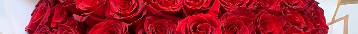 100 Rosas Rojas / 100 Red Roses