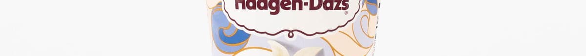 Haagen Dazs Ice Cream Vanilla