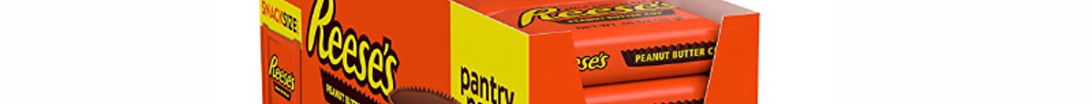Reese's Peanut Butter Cups Milk Chocolate Snack Size (10.5 Oz)