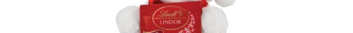 50% OFF: White Plush Santa Bear with Lindor Chocolates