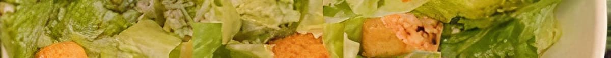 Caesar Salad Entree - NO Chicken