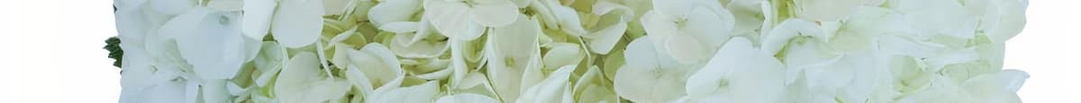 Debi Lilly Hydrangea Bunch (White) (3 Stems)