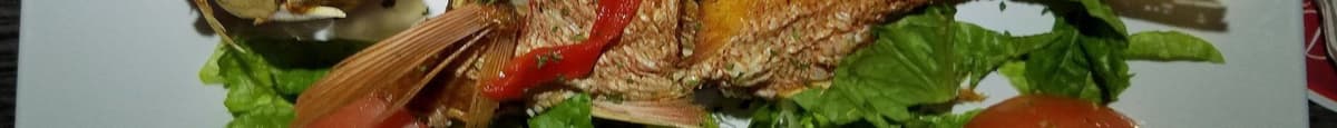 Filete de Dorado / Dorado Fish Fillet