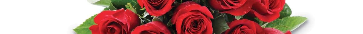 Debi Lilly 12 Stem Roses
