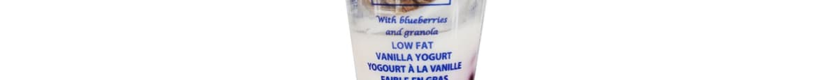 Yogourt faible en gras bleuets et granola / Low Fat Blueberry & Granola