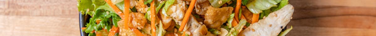 Salade de Poulet Soya Gingembre / Soy Ginger Chicken Salad