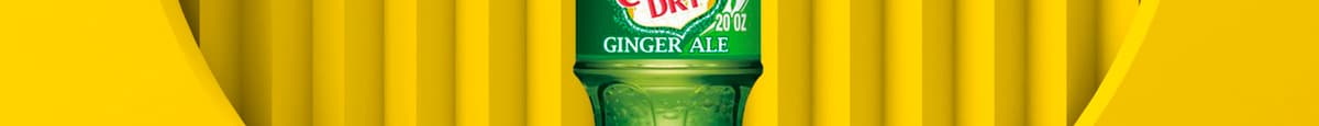 Ginger Ale (bottle)