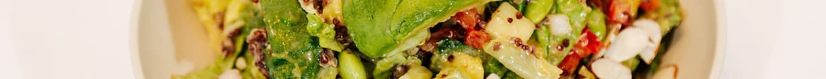 Andina Power Food Salad