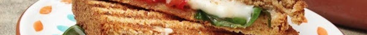 Veg. Masala Sandwich with House Fries
