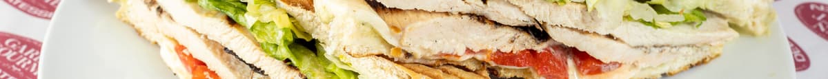 Grilled Chicken Delight Panini