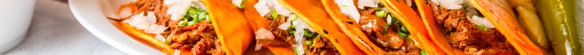 Tacos Barbacoa Plancha