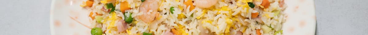 Special Fried Rice / 扬州炒饭