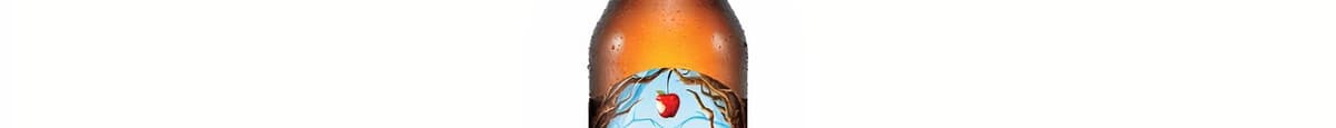 Angry Orchard - 6 pack