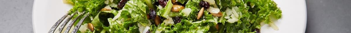 Kale Manchego Salad