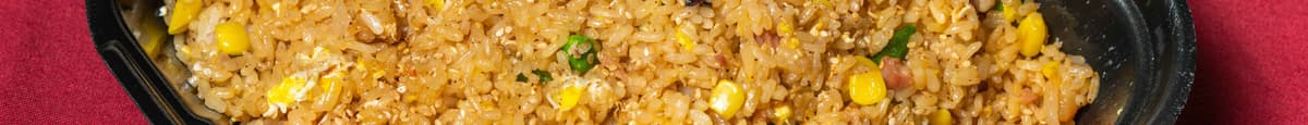 Fried Rice- appetizer
