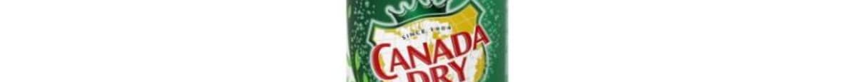 Canada Dry Gingerale 2L