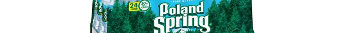 Poland Spring Water 24 Pack