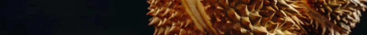 Cheese Durian Pancake 芝士榴莲煎饼