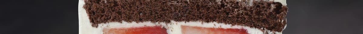 Chocolate Strawberry Cake Slice