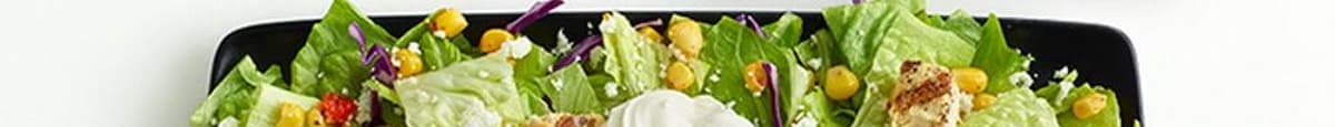 Double Chicken Avocado Salad