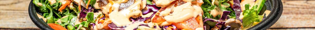 Salade au canard / Duck Salad