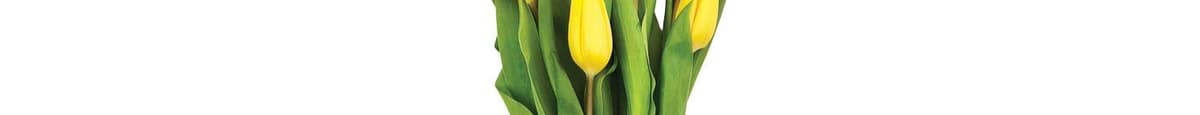 10 Stem Tulip Yellow