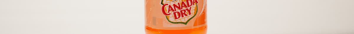 Canada Dry Peach 591 Ml