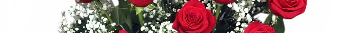 Dozen Premium Roses Arranged with Filler