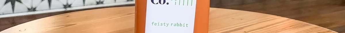 Feisty Rabbit