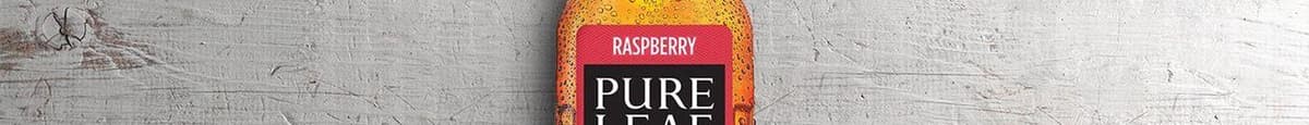 Pure Leaf Framboise / Raspberry (547ml)