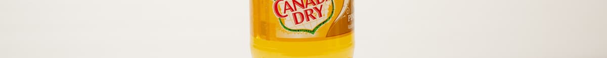 Canada Dry Pineapple 591 Ml