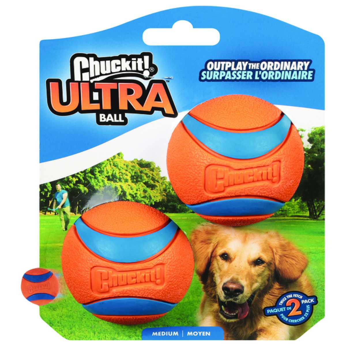 Chuckit Firefly LED Ball Dog Toy Medium Delivery Near Me Doordash