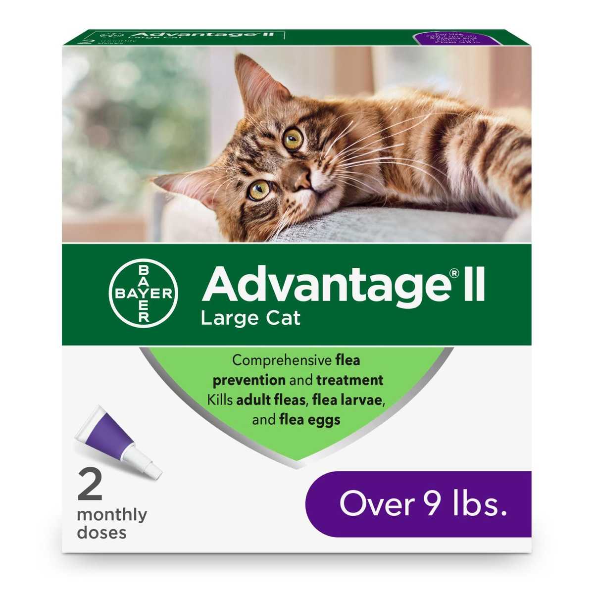 Bayer Advantage II Flea Protection for Small Cats 5 lbs to 9 lbs 2 ct Delivery Near Me Doordash