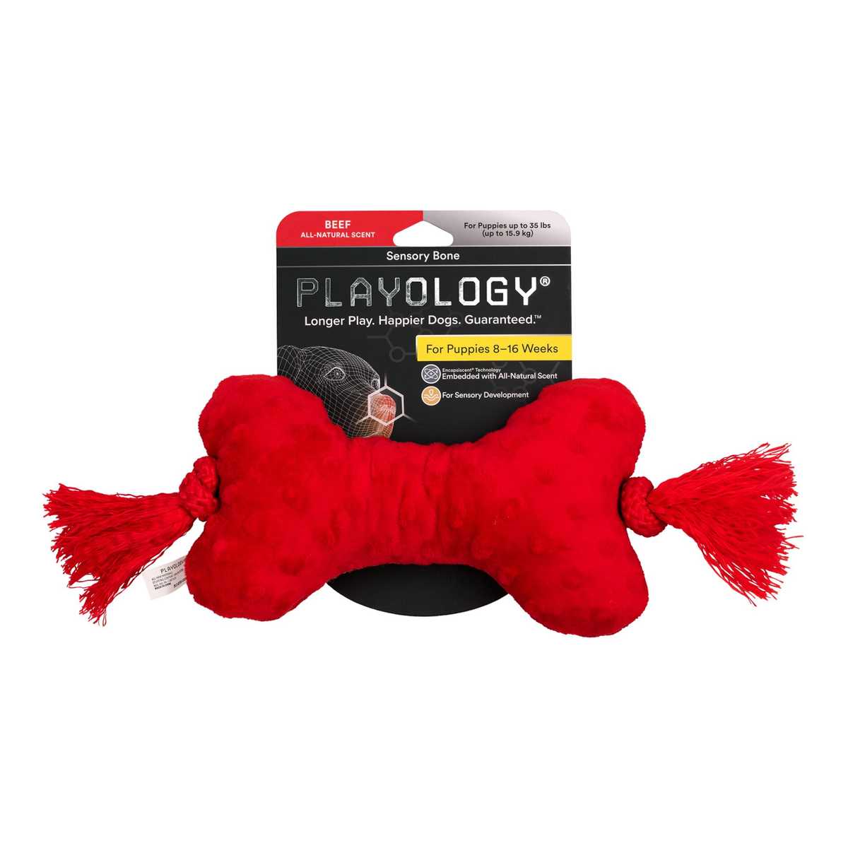 Playology Puppy Sensory Ball Beef Dog Toy, X-Small