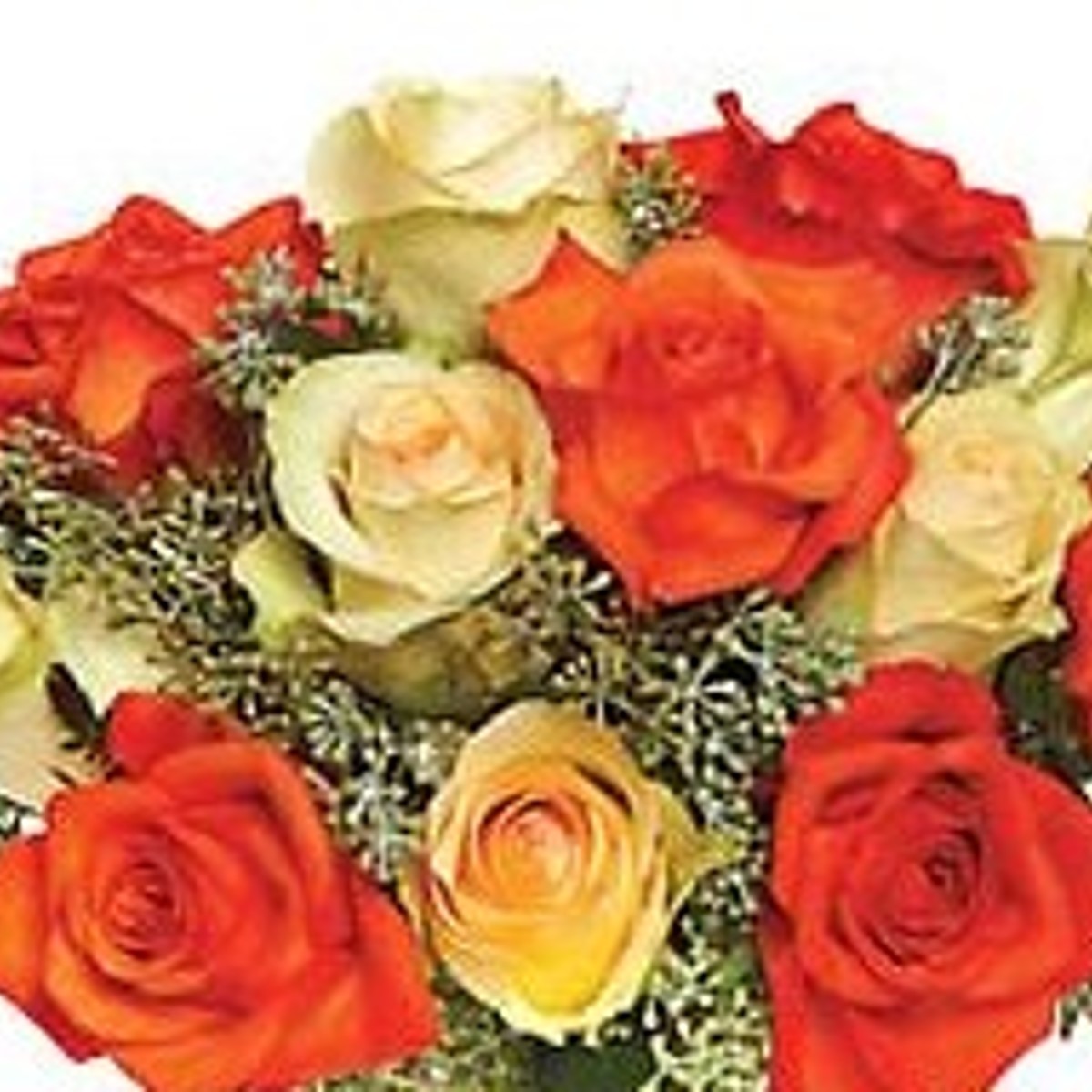 One Doz Red rose wrap bouquet arranged by a florist in Las Vegas, NV : Rosy  Flowers Event Design