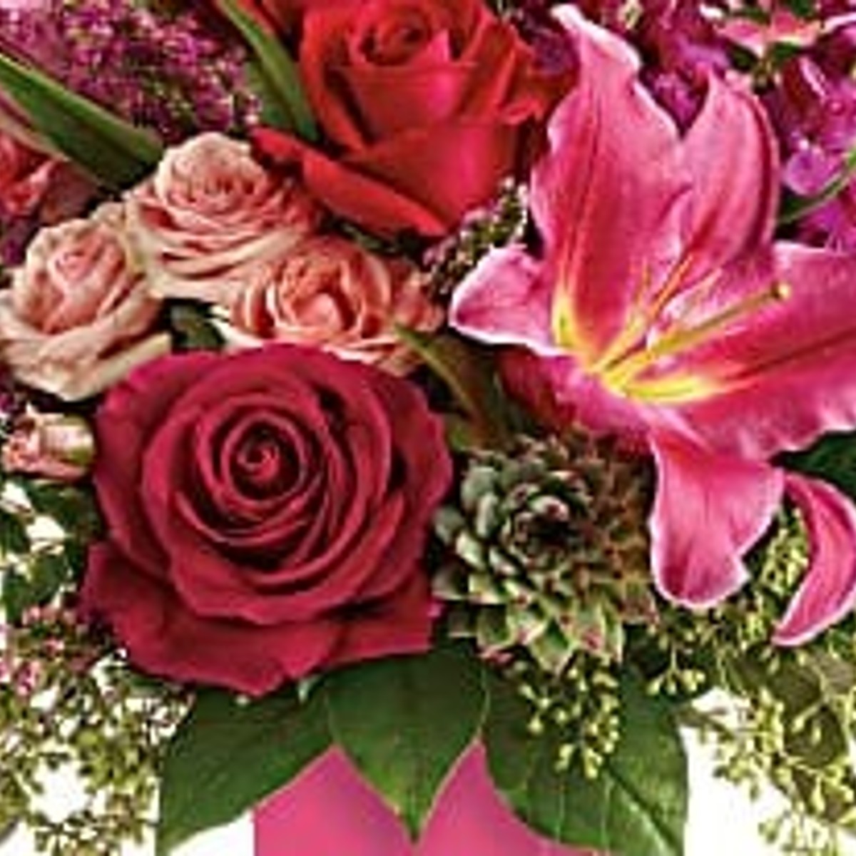 Love's Eternal Bloom: The Enchanting Tale of Gardenia – Herb & Root